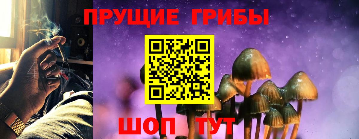 Псилоцибиновые грибы мицелий  Вход с VPN  Россия 