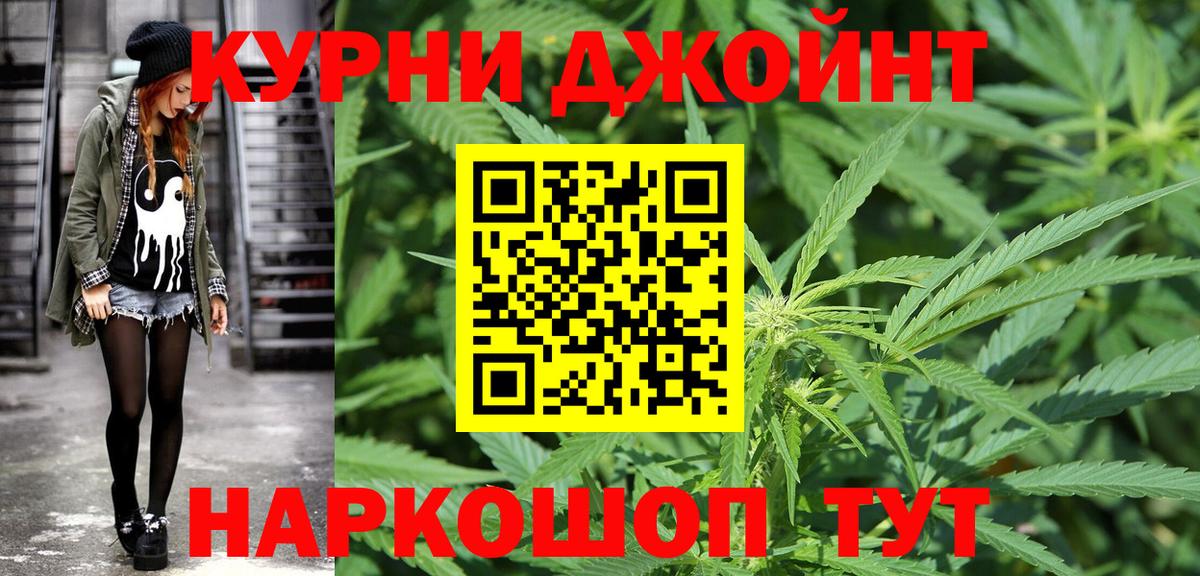Конопля сатива Россия