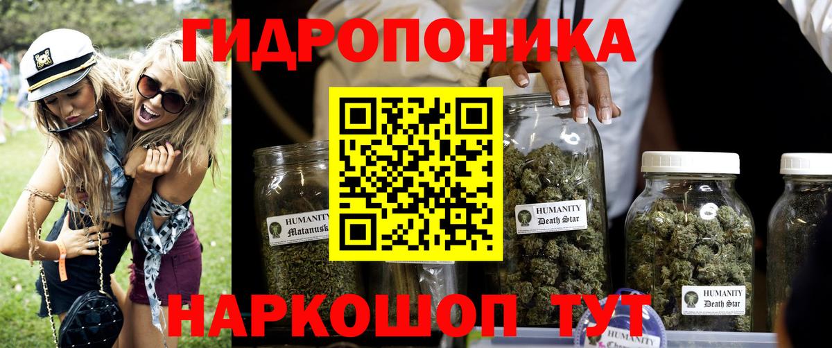 Бошки Шишки SATIVA & INDICA  Канабис Amnesia  Вход с VPN  Бошки Шишки гибрид  Конопля марихуана  Россия 